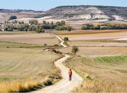 The First Few Months: Adjusting to a New Country